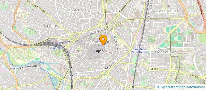 localisation de l'entreprise MADAME ERIKA POVILONYTE à DIJON