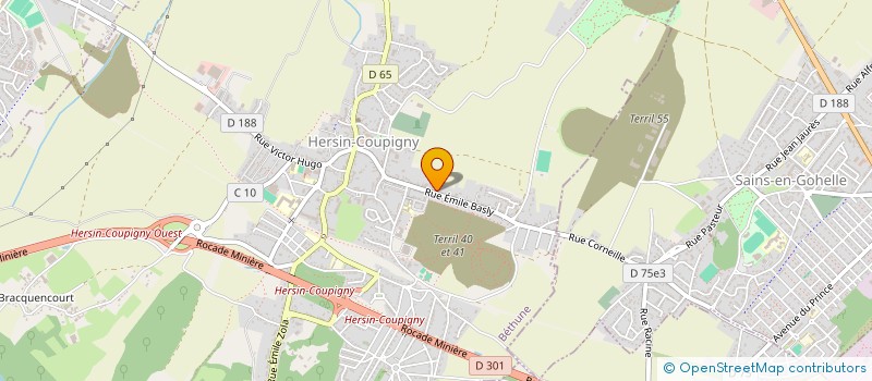 localisation de l'entreprise MADAME ERIKA TISON  HERSIN-COUPIGNY