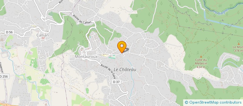 localisation de l'entreprise MADAME ERINE LECARDONNEL  MONTAUROUX