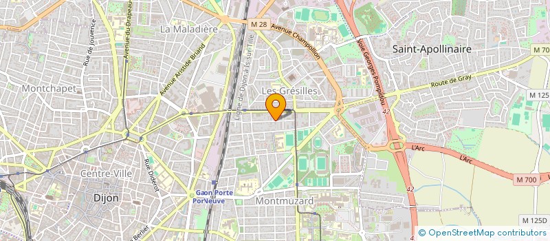 localisation de l'entreprise MADAME ESIN GUN  DIJON