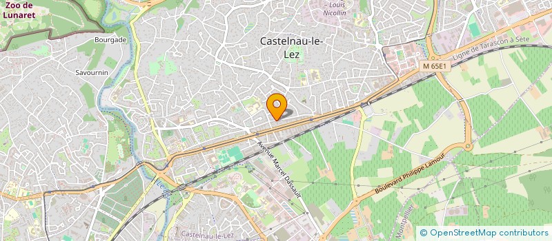 localisation de l'entreprise MADAME ESRA AKYOL à CASTELNAU-LE-LEZ