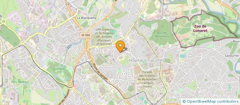 localisation de l'entreprise MADAME ESTELLA VIGNON à MONTPELLIER