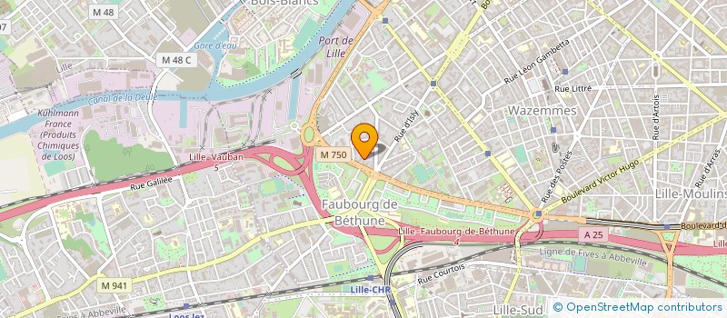 localisation de l'entreprise MADAME ESTELLE DEBAES à LILLE