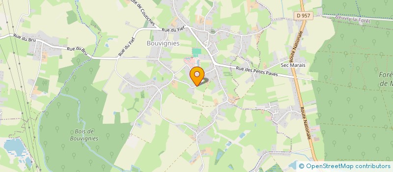 localisation de l'entreprise MADAME ESTELLE DEMOULIN à BOUVIGNIES