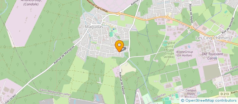 localisation de l'entreprise MADAME ESTELLE DOYER  SAINT-MEDARD-EN-JALLES