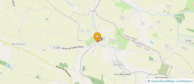 localisation de l'entreprise MADAME ESTELLE GABRIEL  CAZAUX-SAVES