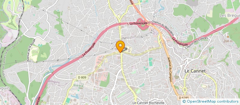 localisation de l'entreprise MADAME ESTELLE MARRAUD à LE CANNET