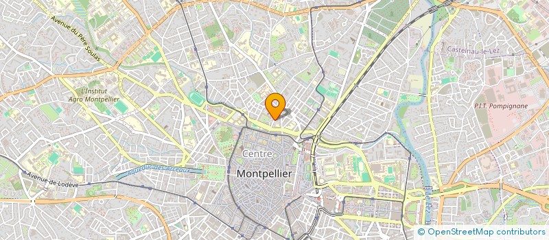localisation de l'entreprise MADAME ESTELLE PEDERSEN à MONTPELLIER