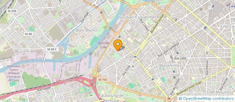 localisation de l'entreprise MADAME ESTELLE SENESSE à LILLE