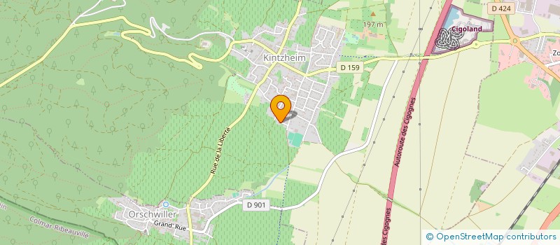 localisation de l'entreprise MADAME ESTELLE WILLMANN  KINTZHEIM