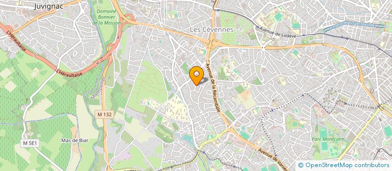 localisation de l'entreprise MADAME ESTHER GONZALEZ FORTUNA  MONTPELLIER