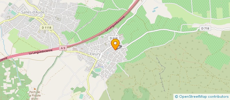 localisation de l'entreprise MADAME ESTHER WESOLOWSKI  FLEURY