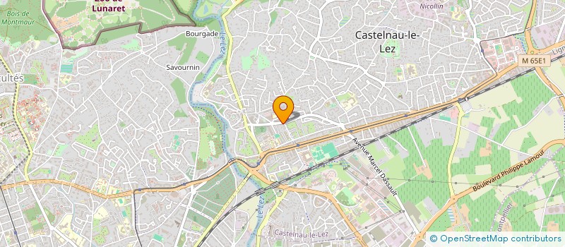 localisation de l'entreprise MADAME ESZTER NAGY à CASTELNAU-LE-LEZ