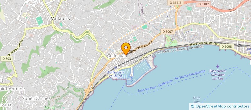 localisation de l'entreprise MADAME EUGENIA COJOCARU  VALLAURIS