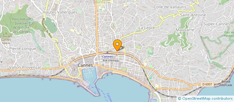 localisation de l'entreprise MADAME EUGENIA RUSU  CANNES