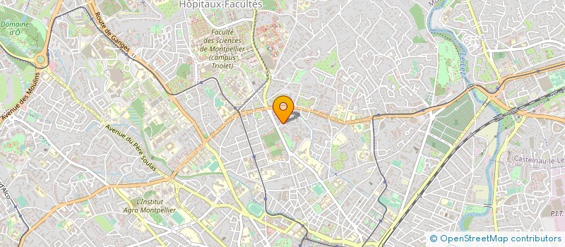 localisation de l'entreprise MADAME EUGENIE BACQUE à MONTPELLIER