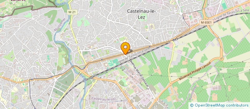 localisation de l'entreprise MADAME EUGENIE DEVAUX à CASTELNAU-LE-LEZ