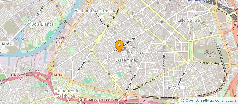 localisation de l'entreprise MADAME EVA BORDOT à LILLE
