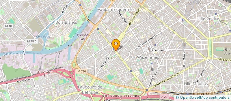 localisation de l'entreprise MADAME EVA DARGENT  LILLE