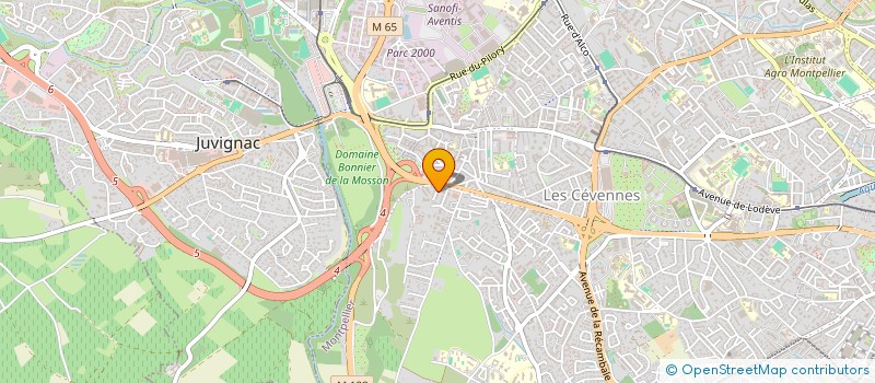 localisation de l'entreprise MADAME EVA DE LOS RIOS à MONTPELLIER