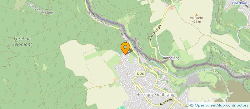 localisation de l'entreprise MADAME EVA DUDOT  HUSSIGNY-GODBRANGE