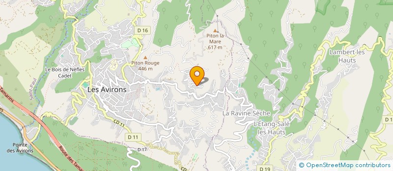 localisation de l'entreprise MADAME EVA EUGENIE HOARAU  LES AVIRONS