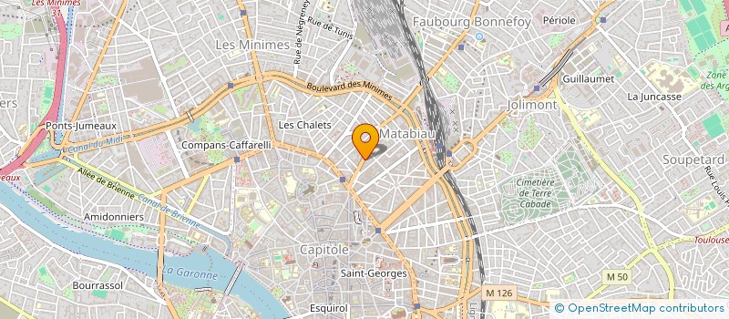 localisation de l'entreprise MADAME EVA FRICZ  TOULOUSE