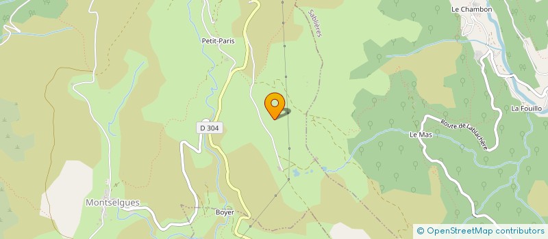 localisation de l'entreprise MADAME EVA HOFFMANN  MONTSELGUES