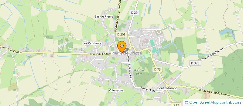 localisation de l'entreprise MADAME EVA JOVER  PIERRE-DE-BRESSE