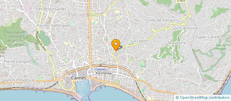 localisation de l'entreprise MADAME EVA MIANNE  CANNES