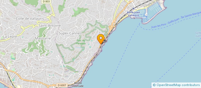 localisation de l'entreprise MADAME EVA SHMARGUNENKO  VALLAURIS