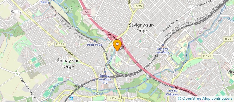 localisation de l'entreprise MADAME EVA TULCEANU à SAVIGNY-SUR-ORGE