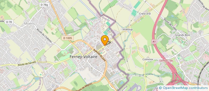 localisation de l'entreprise MADAME EVANGELIA PAPADOPOULOS à FERNEY-VOLTAIRE