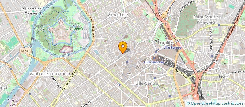 localisation de l'entreprise MADAME EVE SIMEONI  LILLE