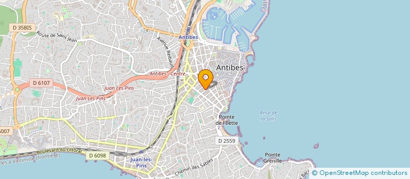 localisation de l'entreprise MADAME EVELINA ANISSIMOVA à ANTIBES