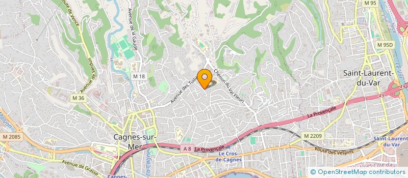 localisation de l'entreprise MADAME EVELYN ARGUEZA  CAGNES-SUR-MER