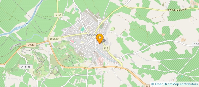 localisation de l'entreprise MADAME EVELYNE BERTOLINO  MONTAGNAC