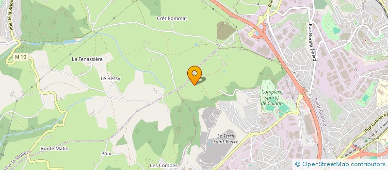 localisation de l'entreprise MADAME EVELYNE CARRIER  LA RICAMARIE