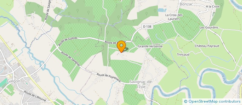 localisation de l'entreprise MADAME EVELYNE DARRIBET  SAVIGNAC-SUR-L ISLE