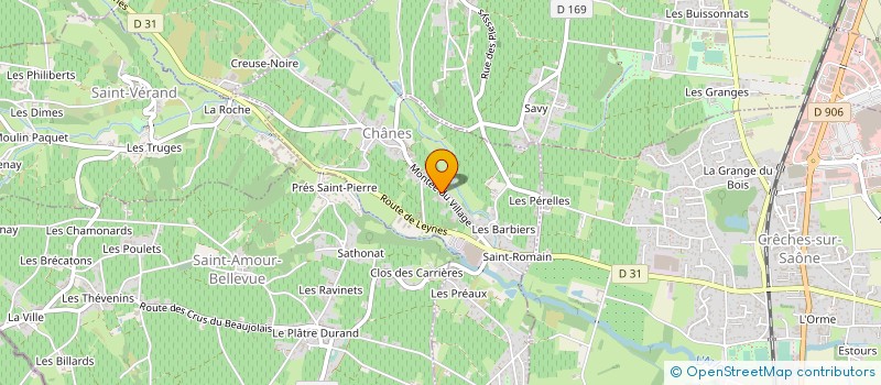 localisation de l'entreprise MADAME EVELYNE DUCHER  CHANES