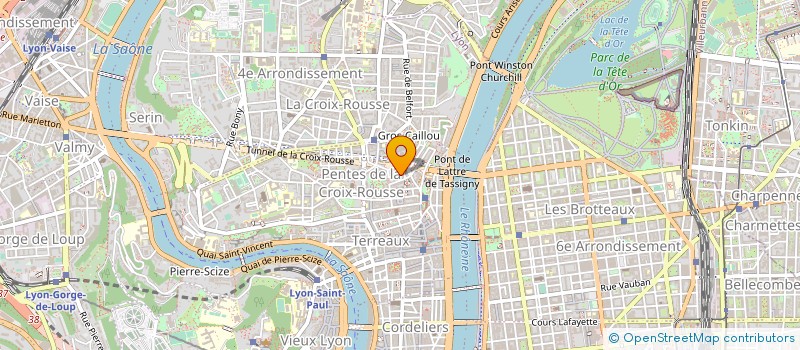 localisation de l'entreprise MADAME EVELYNE HOPPENOT à LYON