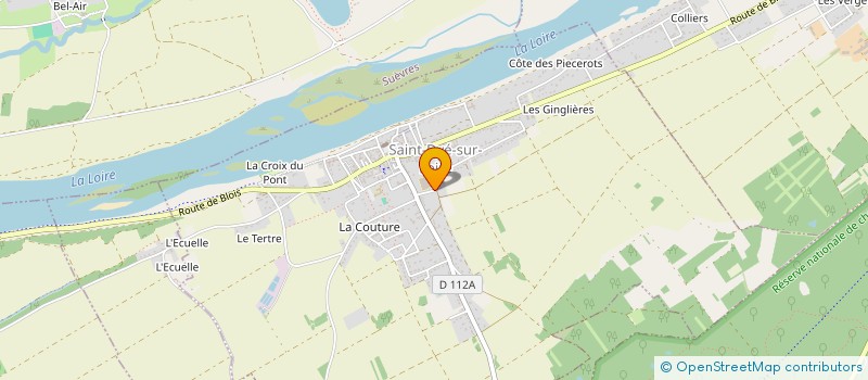 localisation de l'entreprise MADAME EVELYNE JAFFRELOT LE CHANU  SAINT-DYE-SUR-LOIRE