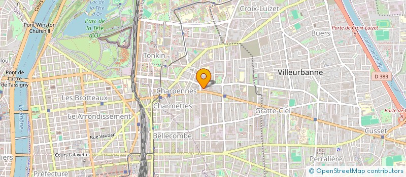 localisation de l'entreprise MADAME EVELYNE MARCEL  VILLEURBANNE