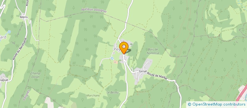 localisation de l'entreprise MADAME EVELYNE PERNET  PEYRIAT