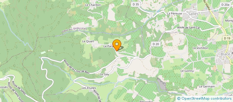 localisation de l'entreprise MADAME EVELYNE PUGET  BLACE