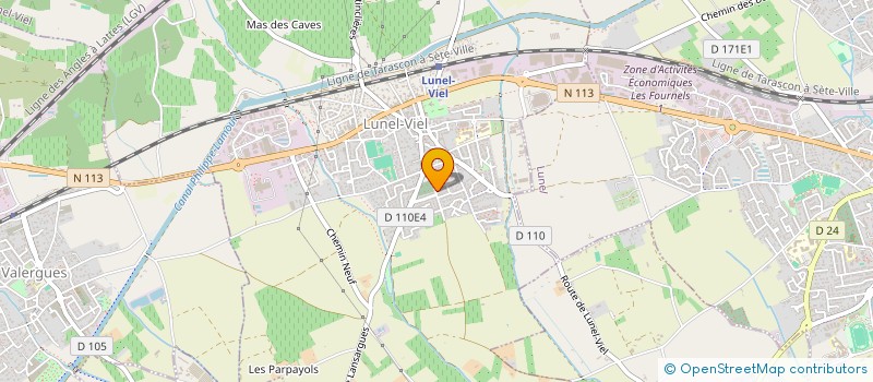 localisation de l'entreprise MADAME EVELYNE RAUNIER à LUNEL-VIEL