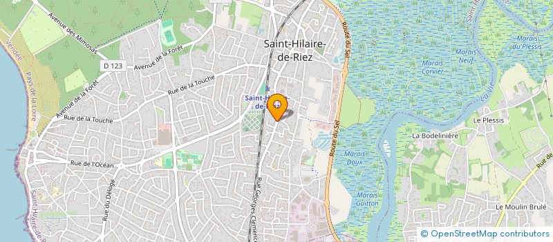 localisation de l'entreprise MADAME EVELYNE SZYMICZEK  SAINT-HILAIRE-DE-RIEZ