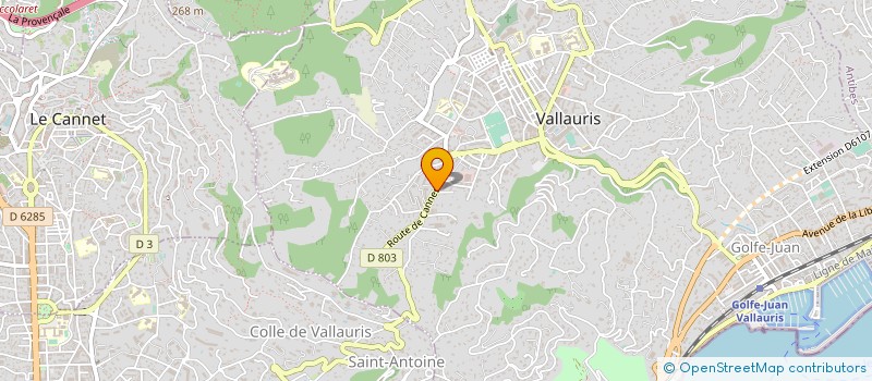 localisation de l'entreprise MADAME EVELYNE TAMONTE à VALLAURIS