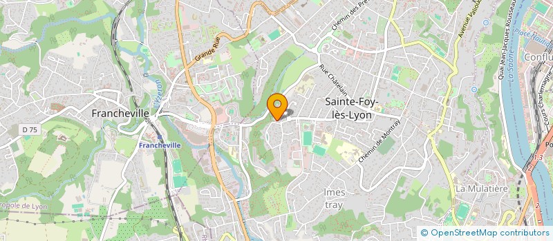 localisation de l'entreprise MADAME EVELYNE VERNIER  SAINTE-FOY-LES-LYON