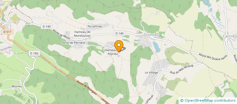 localisation de l'entreprise MADAME EVELYNE WOJCIECHOWSKI  DIZIMIEU